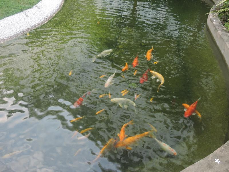 Bayview Langkawi 4* Kuah